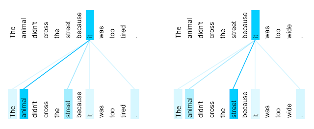 Self-attention Distribution