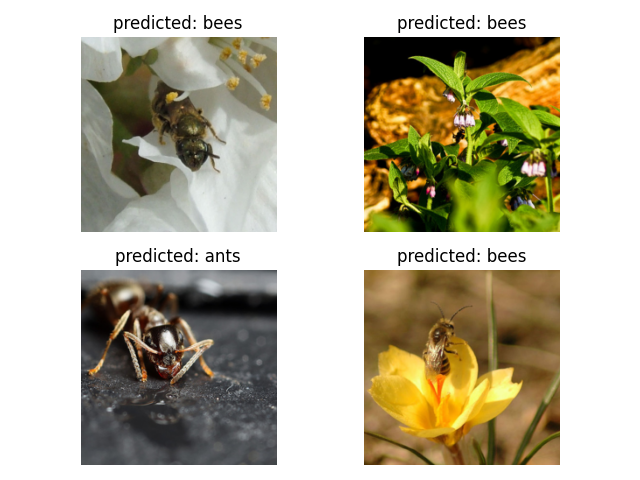 Fixed Feature Extractor Predictions